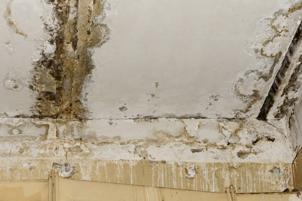 Best Indoor Air Quality Assessment  in Montecito, CA