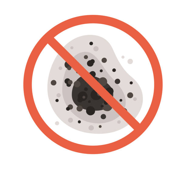 Best Basement Mold Removal  in Montecito, CA