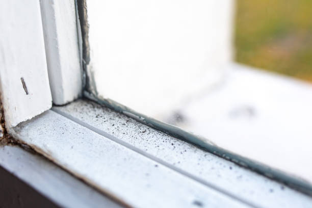 Best Forensic Mold Investigation  in Montecito, CA