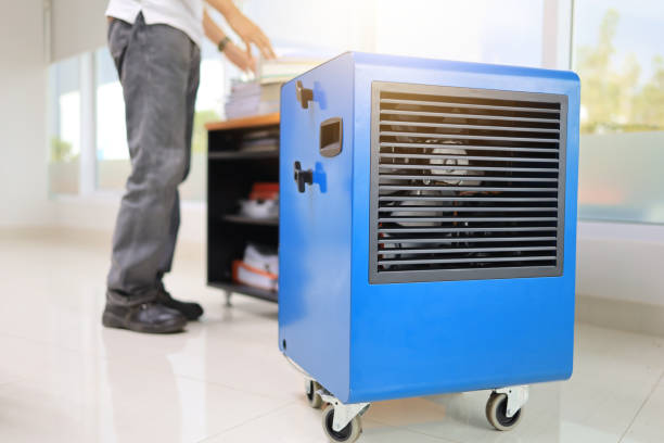 Best Residential Mold Inspection & Testing  in Montecito, CA