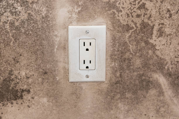 Best Asbestos and Lead Testing During Mold Inspection  in Montecito, CA